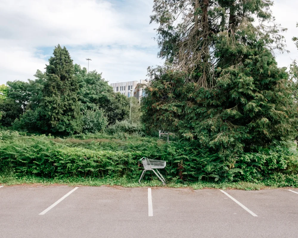 Lost shopping Trollys