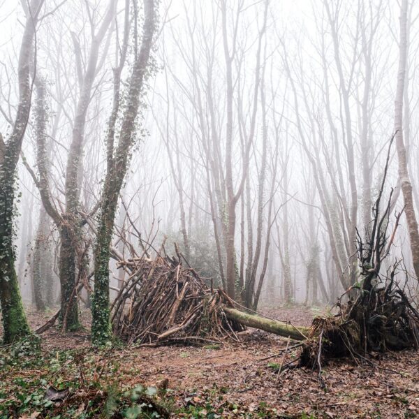 Brighstone Bivouac