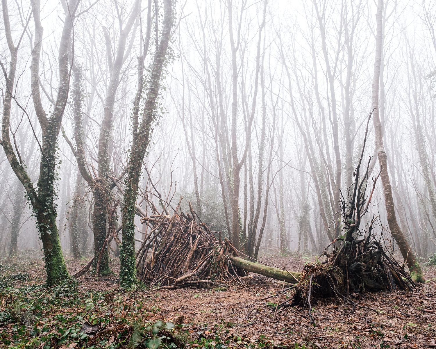Brighstone Bivouac